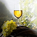 Глоссарий по брожению, производству виски и виноделию